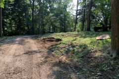 the-Ridge-on-Williams-Creek-Road-20ft-Wide-Trees-2