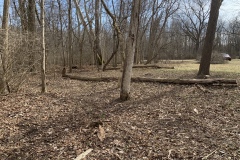 the-Ridge-on-Williams-Creek-Little-Bit-1