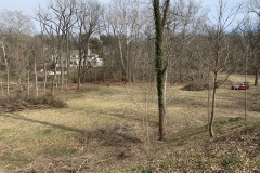 the-Ridge-on-Williams-Creek-Little-Bit-3