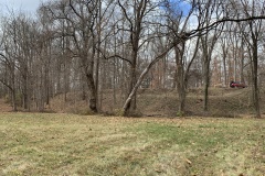 the-Ridge-on-Williams-Creek-Clearing-2
