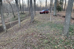 the-Ridge-on-Williams-Creek-Clearing-3