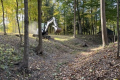 the-Ridge-on-Williams-Creek-Exciting-Day1