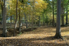 the-Ridge-on-Wiilams-Creek-Fall-Setting-1