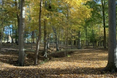 the-Ridge-on-Wiilams-Creek-Fall-Setting-3