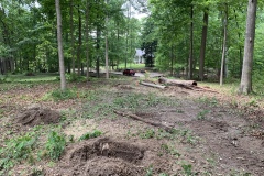 the-Ridge-on-Williams-Creek-Trees-Cleared-Make-Way-1