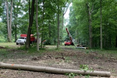 the-Ridge-on-Williams-Creek-Trees-Cleared-Make-Way-2