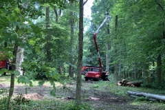 the-Ridge-on-Williams-Creek-Trees-Cleared-Make-Way-3