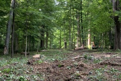the-Ridge-on-Williams-Creek-Trees-Cleared-Make-Way-4
