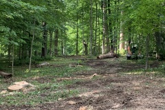 the-Ridge-on-Williams-Creek-Trees-Cleared-Make-Way-5