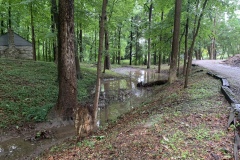 the-Ridge-on-Williams-Creek-Forgotten-Creek-Brush-2