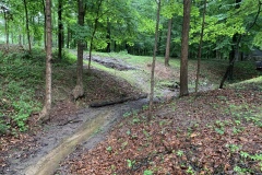 the-Ridge-on-Williams-Creek-Forgotten-Creek-Brush-3