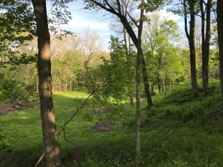 the-Ridge-on-Williams-Creek-Lot-Photo-1