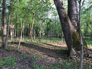 the-Ridge-on-Williams-Creek-Lot-Photo-10