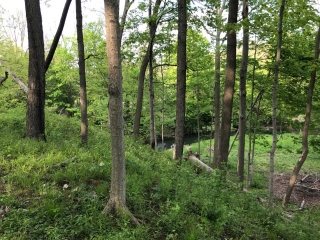 the-Ridge-on-Williams-Creek-Lot-Photo-11