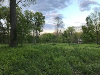 the-Ridge-on-Williams-Creek-Lot-Photo-12