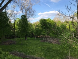 the-Ridge-on-Williams-Creek-Lot-Photo-2