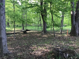 the-Ridge-on-Williams-Creek-Lot-Photo-3