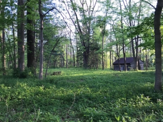 the-Ridge-on-Williams-Creek-Lot-Photo-4