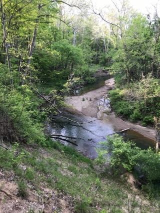 the-Ridge-on-Williams-Creek-Lot-Photo-8
