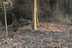 the-Ridge-on-Williams-Creek-Next-In-There-1