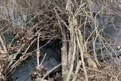 the-Ridge-on-Williams-Creek-Next-In-There-2
