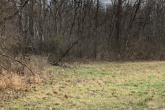 the-Ridge-on-Williams-Creek-Next-Clearing-3