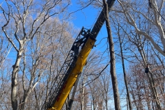 Nov-8-1st-Bridge-3