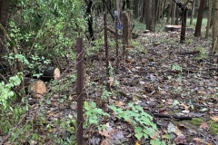 the-ridge-on-Williams-Creek-Old-Wire-Fence-1