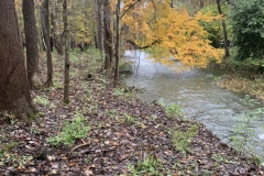 the-ridge-on-Williams-Creek-Old-Wire-Fence-2