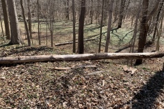 the-Ridge-on-Williams-Creek-One-Step-Forward-1