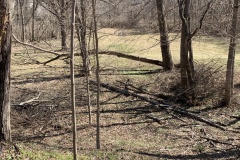 the-Ridge-on-Williams-Creek-One-Step-Forward-2