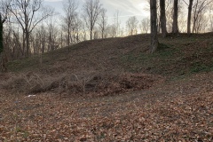the-Ridge-on-Williams-Creek-original-mansion-2