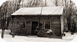 the-Ridge-on-Williams-Creek-Ancient-History10