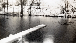 the-Ridge-on-Williams-Creek-Ancient-History11
