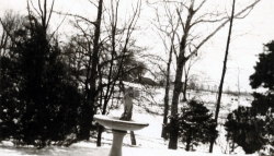 the-Ridge-on-Williams-Creek-Ancient-History16