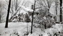 the-Ridge-on-Williams-Creek-Ancient-History18