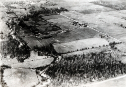 the-Ridge-on-Williams-Creek-Ancient-History2