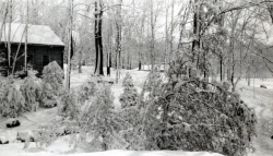 the-Ridge-on-Williams-Creek-Ancient-History20