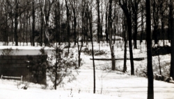 the-Ridge-on-Williams-Creek-Ancient-History23