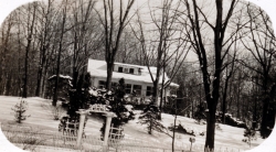 the-Ridge-on-Williams-Creek-Ancient-History30