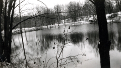 the-Ridge-on-Williams-Creek-Ancient-History33