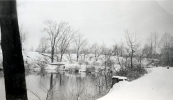 the-Ridge-on-Williams-Creek-Ancient-History40