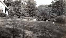 the-Ridge-on-Williams-Creek-Ancient-History45