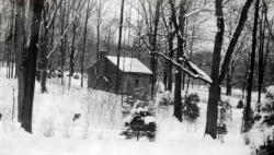 the-Ridge-on-Williams-Creek-Ancient-History49