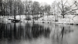 the-Ridge-on-Williams-Creek-Ancient-History54