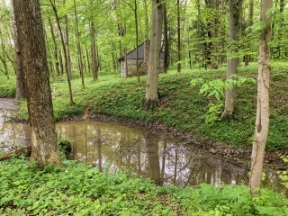the Ridge at Williams Creek - Property Photos