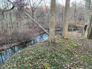 the Ridge at Williams Creek - Property Photos