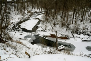 the-Ridge-on-Williams-Creek-Winter-1