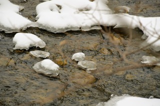 the-Ridge-on-Williams-Creek-Winter-2