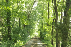the-Ridge-on-Williams-Creek-Slightly-Overgrown-1-2